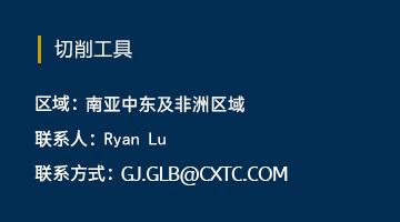 南亚中东及非洲区域 Ryan Lu